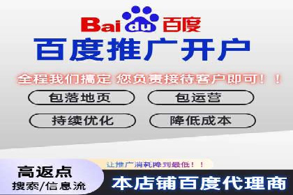 成功案例解读：SEM推广代运营策略